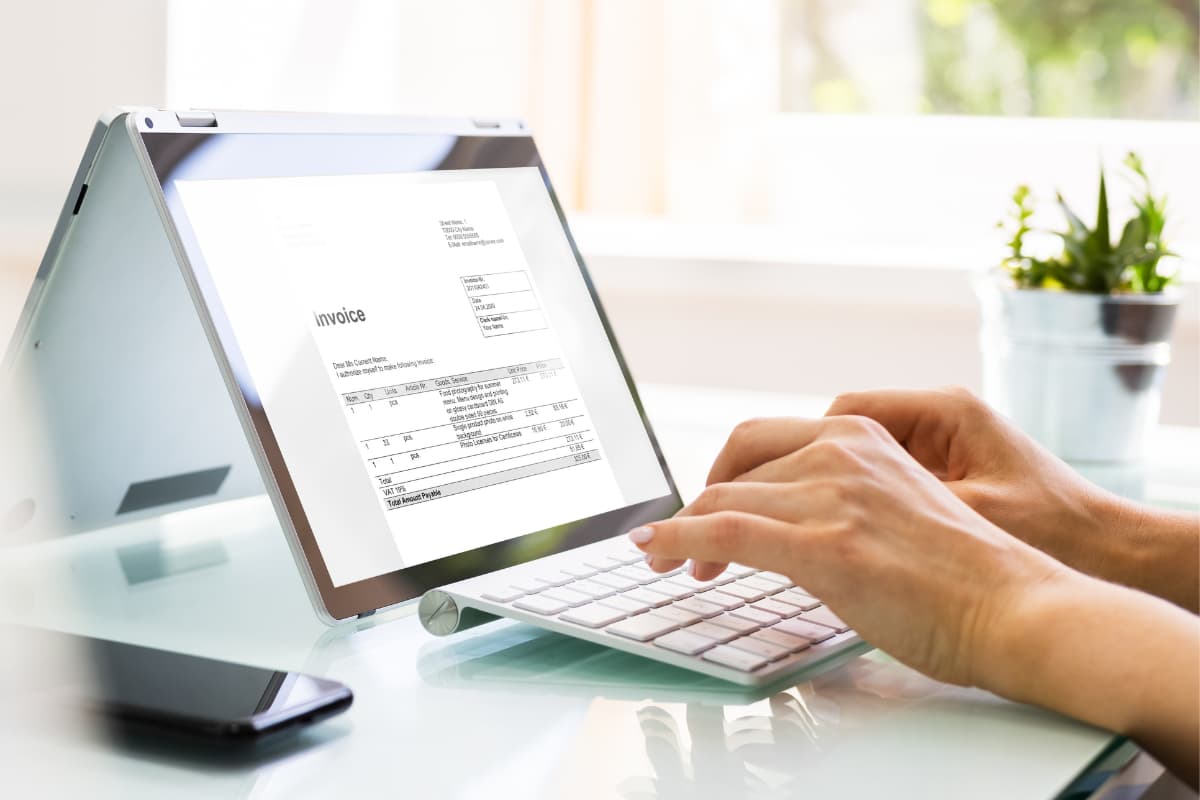 Vista del talonario e-NemeSys — Tengo Sistema / Contabilidad
